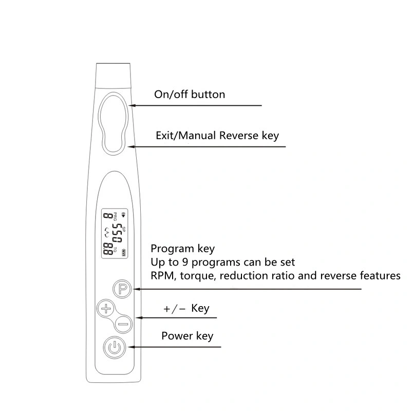 Color Optional Economic Wireless LED Dental Endo Motor